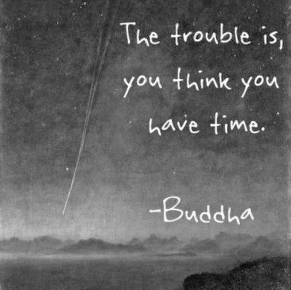 Meet your Posher, Kristen - Picture 2 of 6